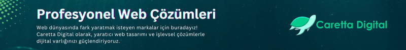 Profesyonel Web Çözümleri