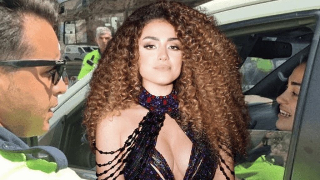 Dilan Çıtak trafik