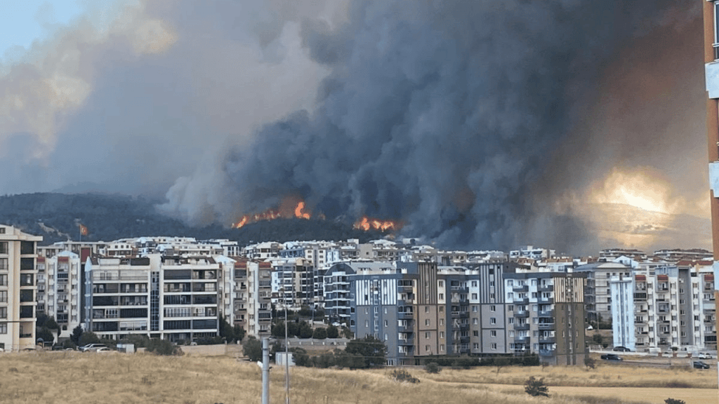 Çanakkale Orman Yangını