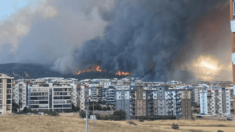 Çanakkale Orman Yangını