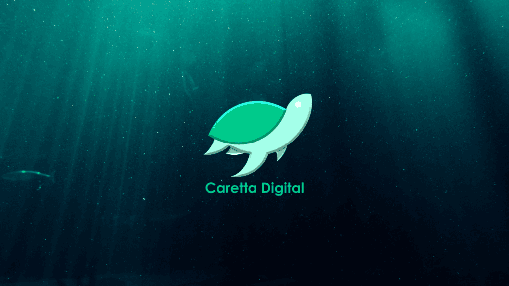 Cironuzu Artıran Dijital Stratejiler: Caretta Digital