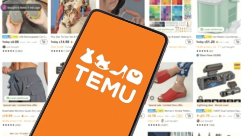 Temu Türkiye’ye Yeni Modeliyle Döndü: Whaleco Kuruldu