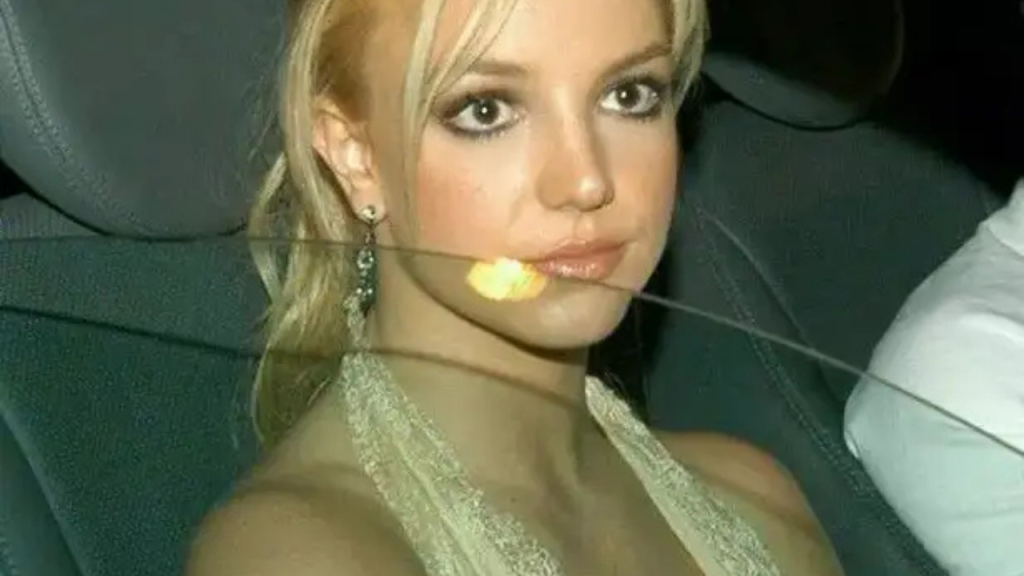 Britney Spears alkol cezası