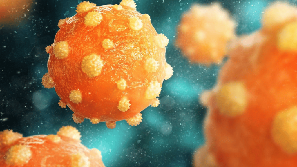 Hanta Virus Salgını: İnsandan İnsana Bulaşan Yeni Tehdit