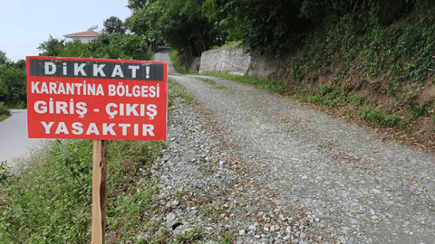 Mavi Dil Hastalığı Nedir? Bergama'da Karantina İlan Edildi