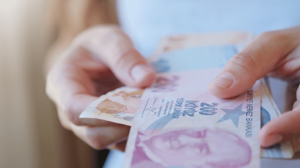 Vatandaşlık Maaşı Şartları Ve Başvurusu Tüm Detaylarıyla